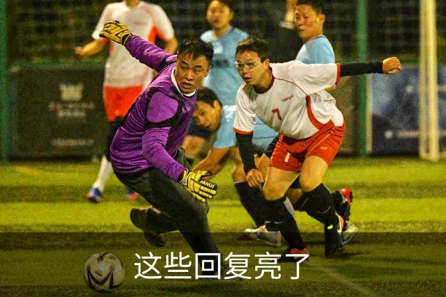 这些回复亮了